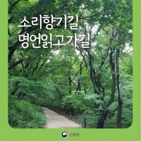  설연휴 자연 속에서 힐링…명품숲길 걸어보세요