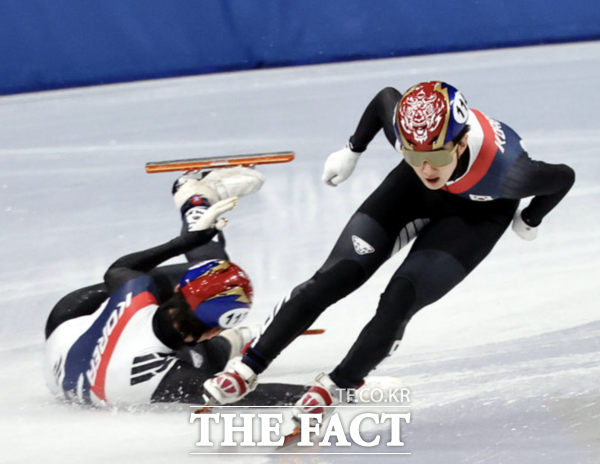 15일(한국 시각) 이탈리아 밀라노 아이스 스케이팅 아레나 경기장에서 열린 2026 밀라노·코르티나담페초 동계올림픽 쇼트트랙 남자 1500m 준준결승에서 신동민과 임종언이 출전, 임종언이 경기도중 넘어지고 있다. /뉴시스