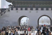  따뜻해진 날씨에 경복궁은 '북적북적' [TF사진관]