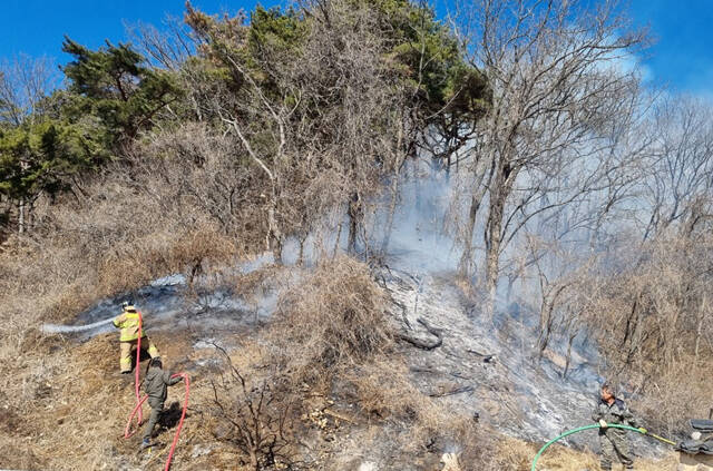 17일 오전 안동시 임하면 천전리, 독립기념관 인근 야산에서도 산불이 발생해 잡목 약 50평이 소실됐으나 인명피해는 없었다. /경북소방본부