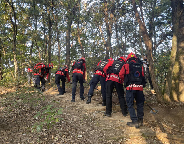 산불 진화 인력이 방화선 구축 훈련을 하고 있다. /남부지방산림청