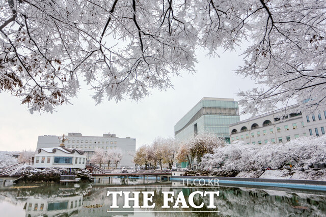 원광대 캠퍼스 수덕호 전경. /원광대학교