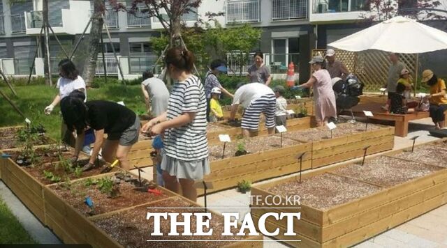 배재대 원예산림학과의 치유농업사 양성기관 현장 실습 전경 /배재대