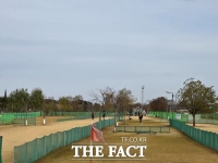  당진시, 파크골프장 이용객 증가…안전사고 예방 총력