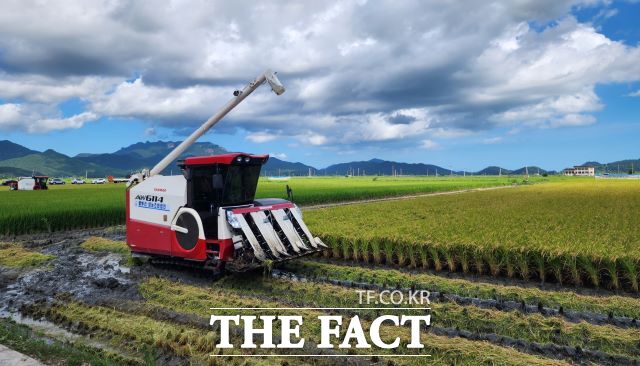 전남 고흥군 벼 재배농가. /전남도