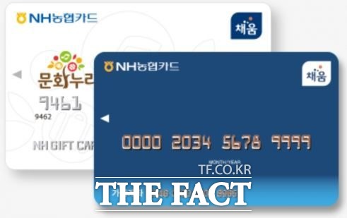 문화누리카드. /더팩트 DB