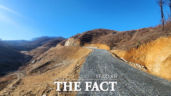 지난해 개설된 신대지구 산불진화임도. /금산군