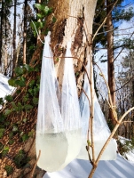  '울릉, 국회로 간다'…도의원 단독 선거구 사수 총력전