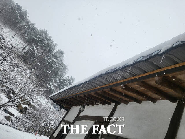 절기상 우수(雨水)가 지난 지 닷새 만인 24일 경북 영주시 전역에 기습적인 폭설이 내리며 도심이 순식간에 하얀 설국으로 변했다. /김성권 기자