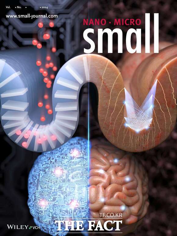 재료과학 분야 SCI급 국제 학술지 Small(Impact Factor 12.1, 상위 7.8%)의 표지논문(Back Cover)으로 선정돼 우수성과 독창성을 인정받았다. /금오공대