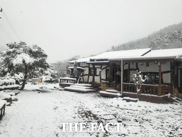 절기상 우수(雨水)가 지난 지 닷새 만인 24일 경북 영주시 전역에 기습적인 폭설이 내리며 도심이 순식간에 하얀 설국으로 변했다. /김성권 기자