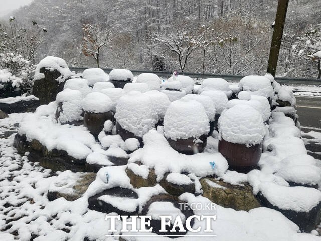 영주시 단산면 옥대리의 한 펜션의 장독이 하얀 눈 이불을 덮고 있다. /독자 제공