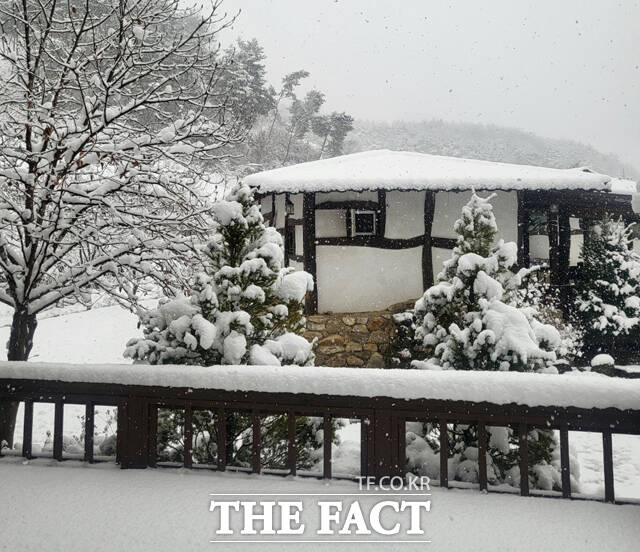 영주시 단산면 옥대리의 한 펜션이 하얀 겨울옷을 입고 있다. /독자 제공