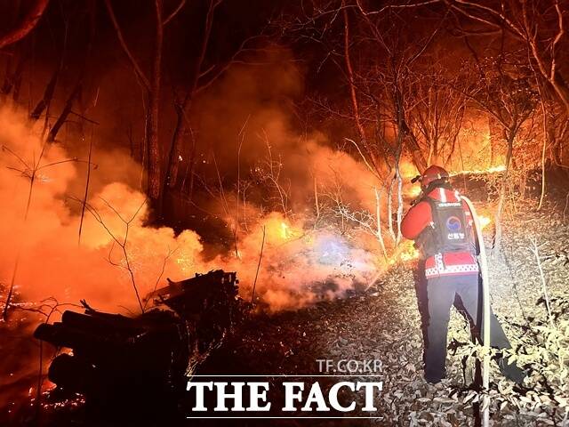 밀양시 삼랑진읍 야산에서 발생한 산불이 약 20시간 만에 주불이 잡혔다. /산림청