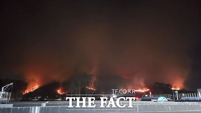 밀양시 삼랑진읍에서 발생한 산불이 24일 오전 9시 30분 기준 진화율 85%를 보이고 있다. /경남도