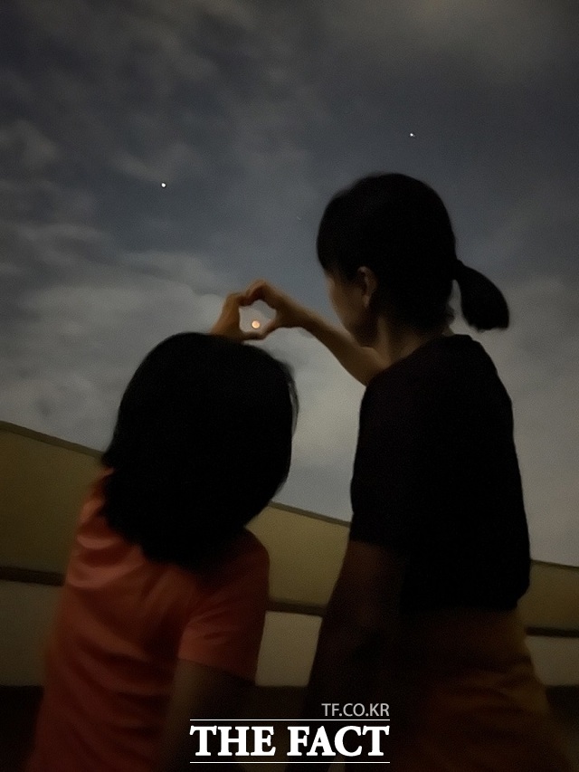 순천만천문대에서 방문객들이 야간 관측 프로그램을 체험하고 있다. /순천시