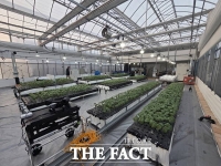  금산군농업기술센터, 잎들깨 상토 조합 비율 실증 데이터 확보