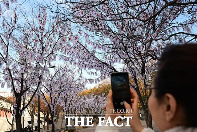 107주년 3.1절을 이틀 앞둔 27일 서울 용산구 효창공원 앞에 태극기 거리가 조성돼 있다. /이새롬 기자