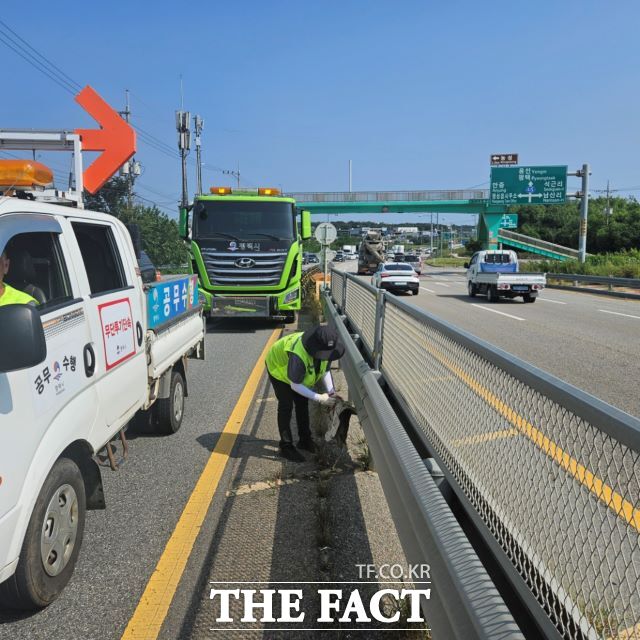 평택시가 3월부터 시민들의 건강 보호를 위해 초미세먼지 저감에 총력 대응을 하기로 했다. /평택시