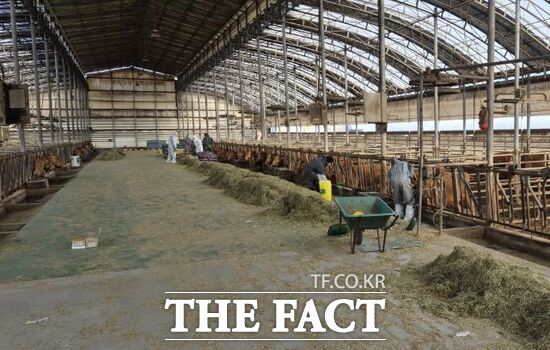 경기 고양시에서 지난 26일 두 번째로 구제역 양성 판정을 받은 한 농가에서 방역 관계자들이 방역 활동을 벌이고 있다. /고양시