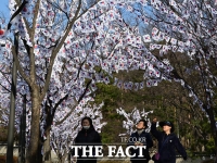  '애국선열 기리며' 효창공원 앞 태극기 물결 [TF사진관]