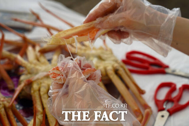 2026 진대게와 붉은대게 축제 2일째인 28일 행사장에는 많은 인파가 몰리고 있다. /울진군