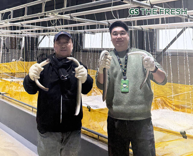 민물장어 생산자협회 손성수 부회장(왼쪽)과 GS리테일 수산팀 정보찬 MD(오른쪽)가 장어를 들고 포즈를 취하고 있다. /GS리테일