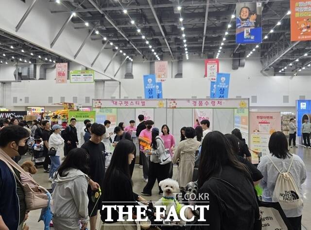 지난해 열린 제22회 대구 펫쇼에서 관람객들이 자신의 반려동물과 함께 행사장을 둘러보고 있다. /대구시