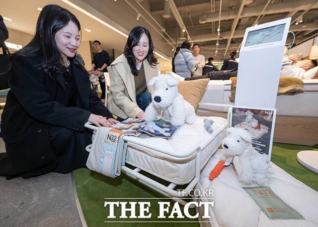 시몬스의 프리미엄 비건 매트리스 브랜드 'N32'가 2일 오후 서울 용산구 아이파크몰 용산점에서 'N32 데이'를 개최한 가운데 한 어린이가 럭키드로우 행사에 참여하고 있다. /박헌우 기자