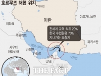  호르무즈 해협 봉쇄에 홍해까지 흔들…머스크 일부 선박 운항 중단