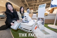  반려견도 '프리미엄 비건 매트리스'에서 함께 자요 [포토]