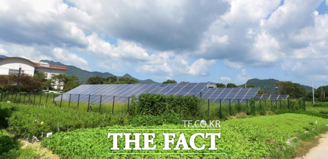 태양광 발전 시설이 설치된 모습. /담양군