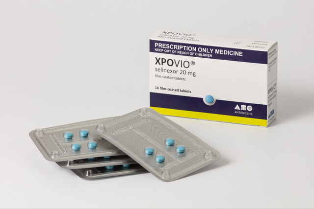 보령은 중국 항암제 개발 전문 제약사인 안텐진과 혈액암 신약 '엑스포비오'의 라이선스인 계약을 체결했다고 4일 밝혔다. 사진은 엑스포비오. /보령