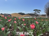  순천만국가정원, 첫 튤립 꽃잔치로 봄 문 연다