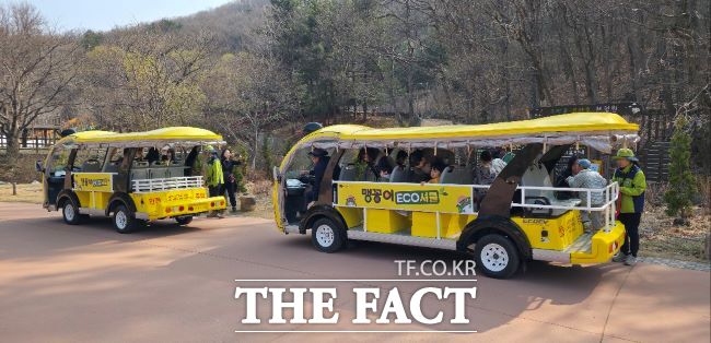 맹꽁이 에코 셔틀 /군포시