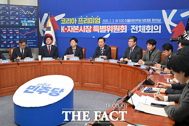 지난달 3일 더불어민주당 코리아 프리미엄 K-자본시장 특별위원회 전체회의. /남용희 기자