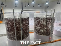  충남도, 육상김 양식 신기술 특허 확보