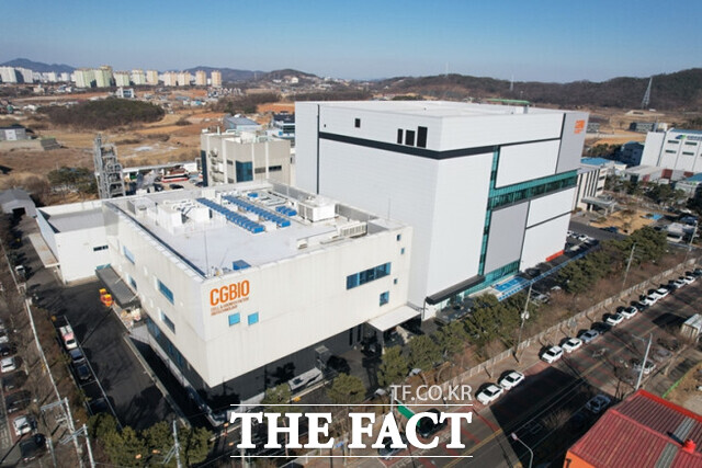 IMM프라이빗에쿼티가 대웅그룹 계열 바이오 기업 시지바이오 인수를 추진하고 있다. /시지바이오