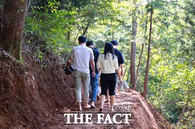 보성읍 망제산에 조성된 맨발 산책길 /보성군