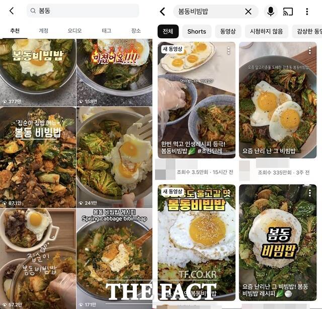 봄동 혹은 봄동 비빔밥 관련 게시물이 높은 조회수를 기록하며 새로운 트렌드로 떠오르고 있다. /인스타그램, 유튜브 캡처