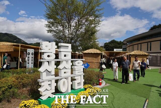 함양산삼축제가 2026~2027년 경남도 지정 문화관광축제로 선정됐다. /함양군