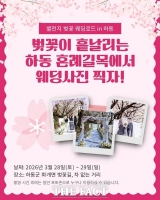  하동군, 화개십리벚꽃길 웨딩 촬영 참가자 모집