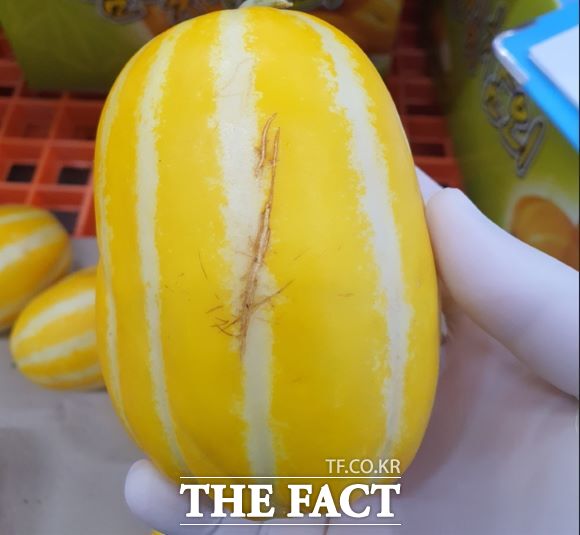 경기도가 전국 최초로 아까운 농산물 유통을 지원한다. /경기도