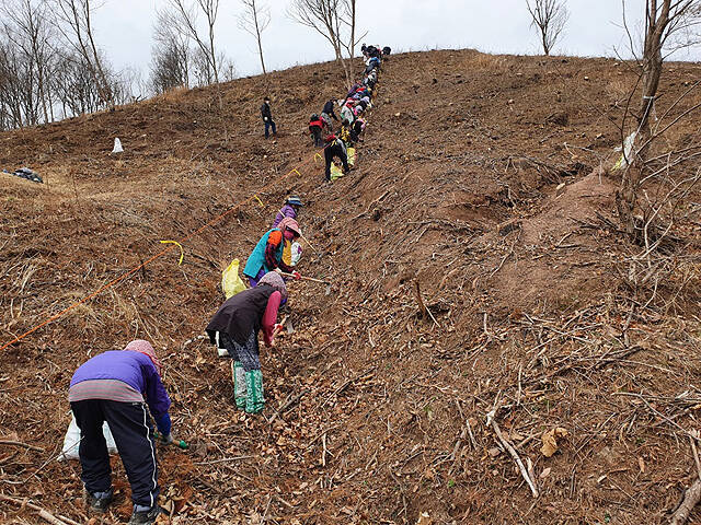 안동 대형 산불 피해지에서 복구 작업이 진행되고 있다. /안동시