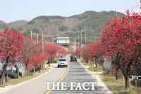  제16회 남일면 홍도화 축제, 4월 18~19일 개최