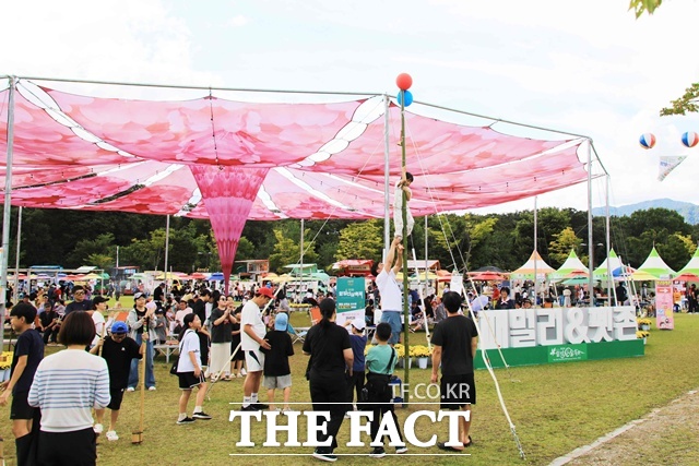 지난해 함양산삼축제 모습 /함양군
