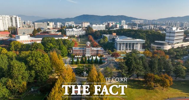 전남대학교 전경. /전남대학교