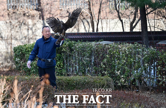 기둥 사이에 줄을 걸어 날갯짓하며 먹이를 잡는 줄밥, 끈을 푼 상태에서 매가 날아올랐다가 목표 지점으로 돌아오는 과정의 날밥 등의 훈련이 있다.