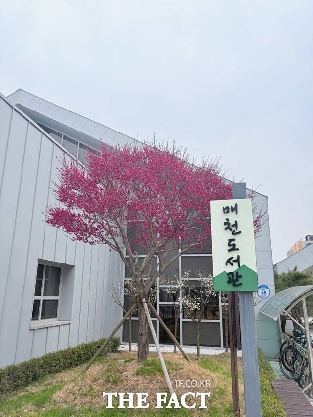 구례매천도서관 전경. /구례군