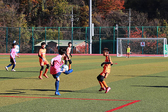 지난해 열린 백암온천배 전국 유소년 축구대회 경기 모습. /울진군